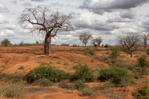 Biotope aride