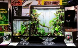 Terrarium arboricole