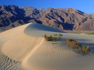 Biotope désertique