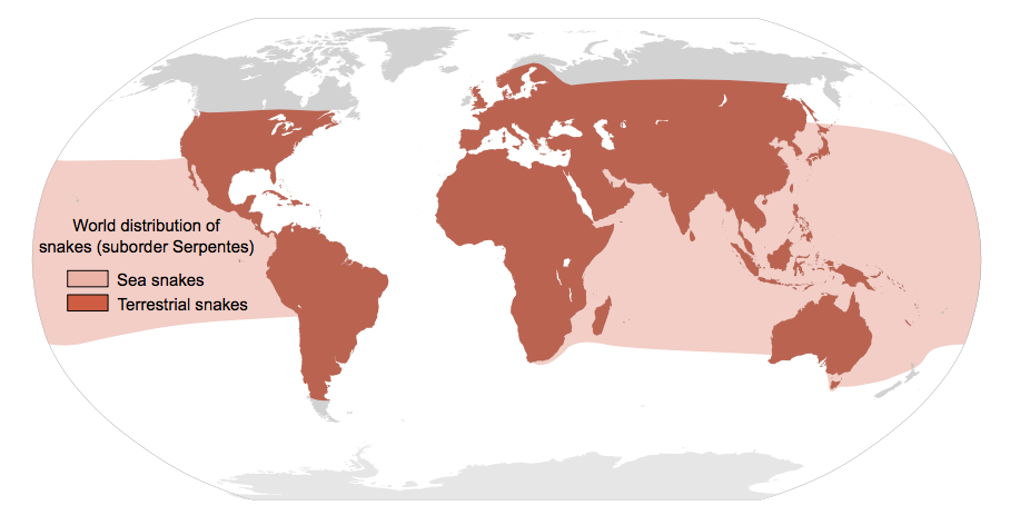 Carte de répartition des serpents